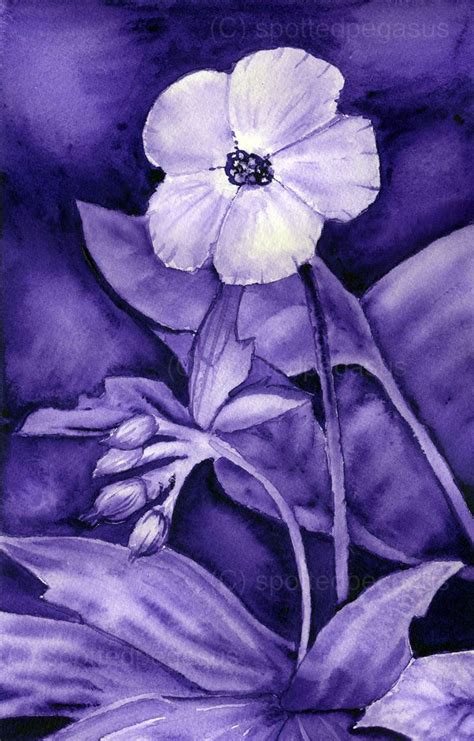 Monochromatic Flower by SpottedPegasus on deviantART | Monochromatic art, Monochromatic ...