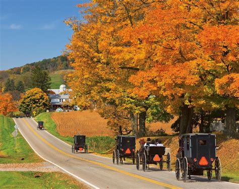 Ohio Amish Country Amish Beliefs, Amish Country, Country Roads, Country Calendar, Holmes County ...