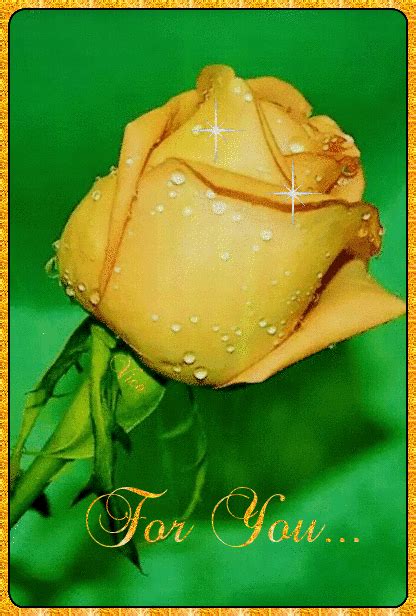 Pin by PRINCESITA on ROSAS Y FLORES PRECIOSAS. | Beautiful rose flowers ...
