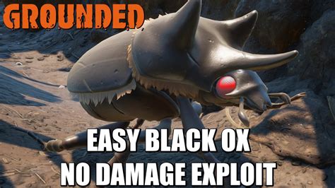 Grounded | Easy Black Ox Beetle Kills | No Damage Exploit - YouTube