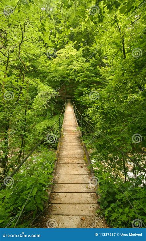 Wooden footbridge stock image. Image of grass, adventure - 11337217