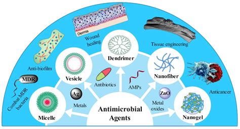 Pharmaceutics | Free Full-Text | Polymeric Nanomaterials for Efficient ...