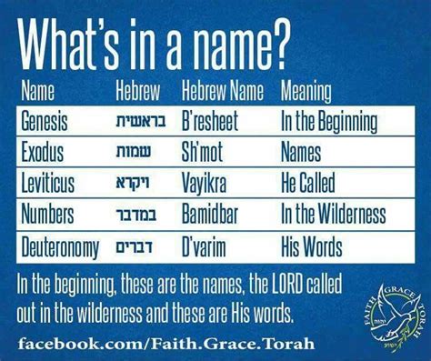 What's in a name? ~ In the beginning, these are the names, YHVH called ...