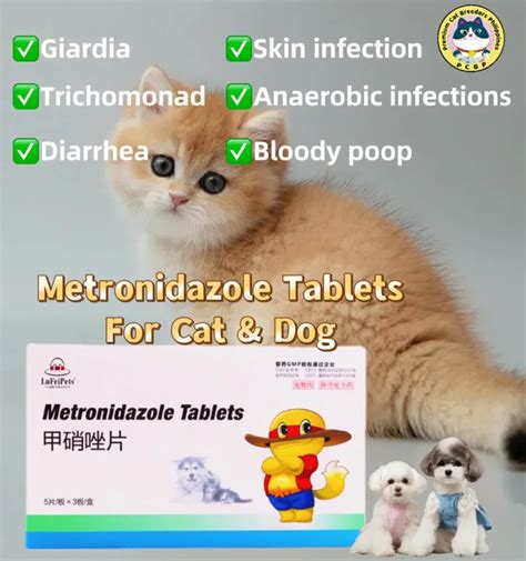 Lufeipet's Metronidazole Oral tablets giardia diarrhea Antiprotozoal for cats and dogs 15 ...