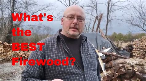 What Is The Best Firewood & Characteristics Of Different Species. How ...