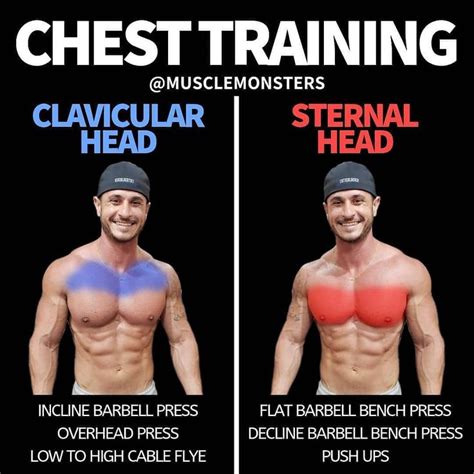 If You Want Bigger Pecs Then Build Your Chest With This Six-Move Weights Workout - GymGuider.com ...