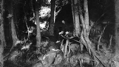 Historical Photograph Confirms Exact Location Tree Roots - Van Gogh Museum