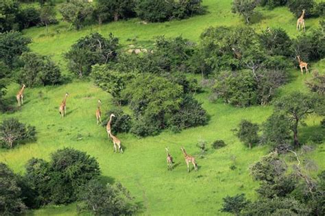 Zakouma National Park, 10-19 April 2019 Private Safari | Chad Tour | Africa Discovery