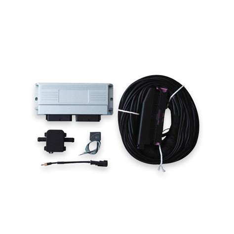 Autogas Conversion Kits 56-pin CNG AC300 ECU for Sequential Injection System-Jiaxing Lineng ...