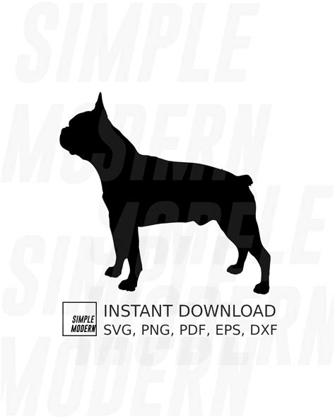 Boston Terrier Dog Silhouette - Simple Modern SVG