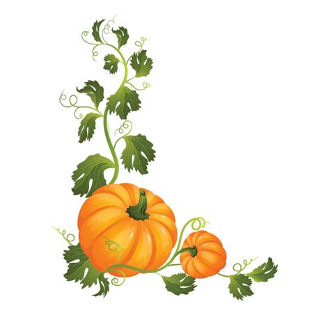 clipart pumpkin vines - Clip Art Library