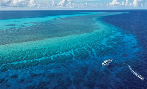 Tubbataha Reefs: Dive Into The Surreal Waters Of This UNESCO World Heritage Site | Tatler Asia