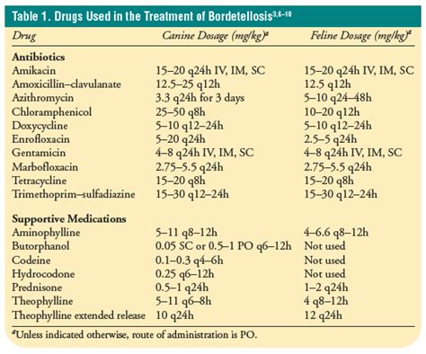 Clavamox Dosage Chart For Cats - catbreeds.co