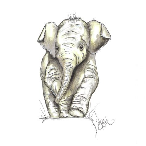 Baby Elephant Drawing | ubicaciondepersonas.cdmx.gob.mx