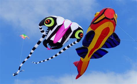 Kite flying day. | A kite is a tethered object with an aerod… | Flickr
