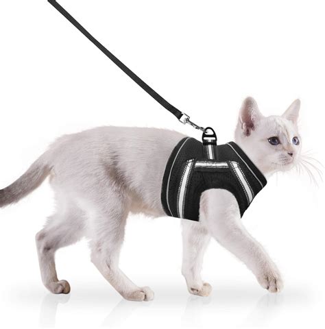 JOYO Cat Harness and Leash Set Escape Proof, Adjustable Small Pet ...