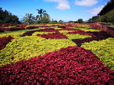 Botanical Garden | Madeira with Linda | Hidden Gems in Madeira