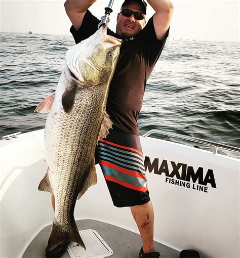 Maxima Fishing Line | Anglers Hookup