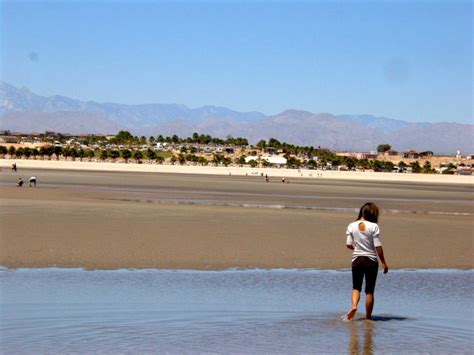 Clamming in San Felipe, Baja California, Mexico