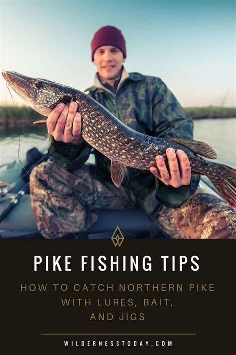 Northern Pike Fishing Tips: How to Fish for Pike and Actually Catch ...