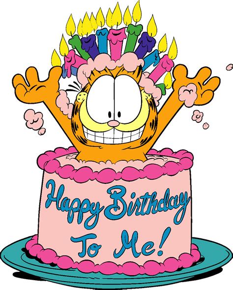 Happy Birthday Garfield! | The Cat Fanciers' Association – Blog