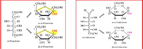 draw the haworth structure for Î±-d-fructose - apstudioartphotography