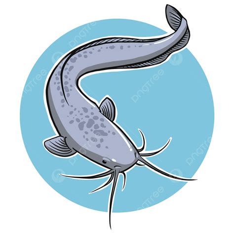 Catfish Cultivation Vector Png Vector Psd And Clipart With | The Best Porn Website