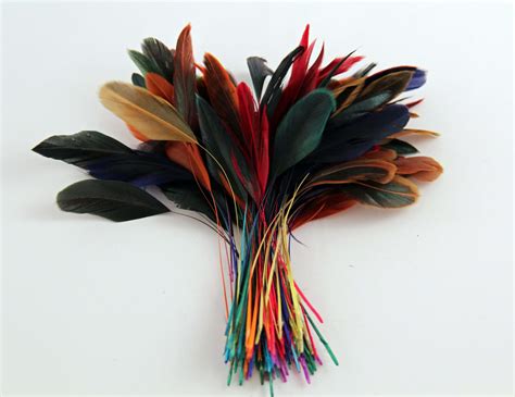 Multi Color Soft Turkey Feathers for Crafts DIY Hats