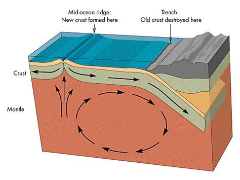 Plate tectonics, continental drift, spreading centers, subduction zones