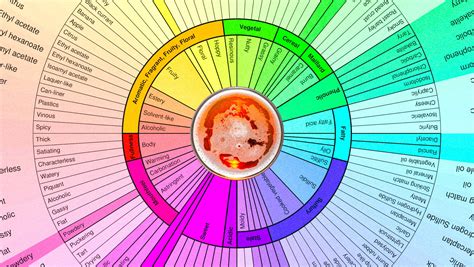 Printable Beer Flavor Wheel