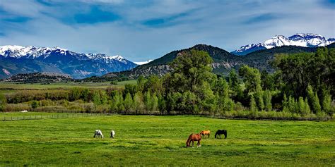 Best Family Dude Ranch Vacations Colorado | Kid Friendly Ranches