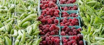 Fresh Produce For Sale Free Stock Photo - Public Domain Pictures