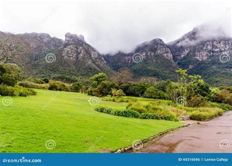 Kirstenbosch Botanical Gardens In Cape Town – South Africa Stock Photo ...