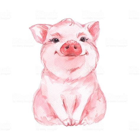 hand drawn pig | Pig art, Watercolor illustration, Animal art