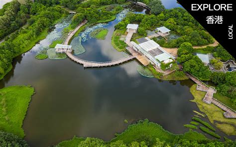 The Hong Kong Wetland Park: A Nature Experience for Everyone - WELL, Magazine