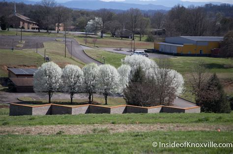 Knoxville Botanical Garden and Arboretum: A Local Jewel Keeps Getting Better | Inside of Knoxville