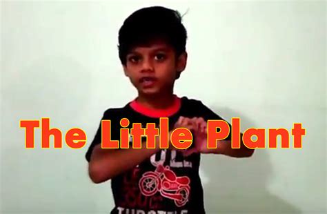 The Little Plant Poem - Soham Sahu