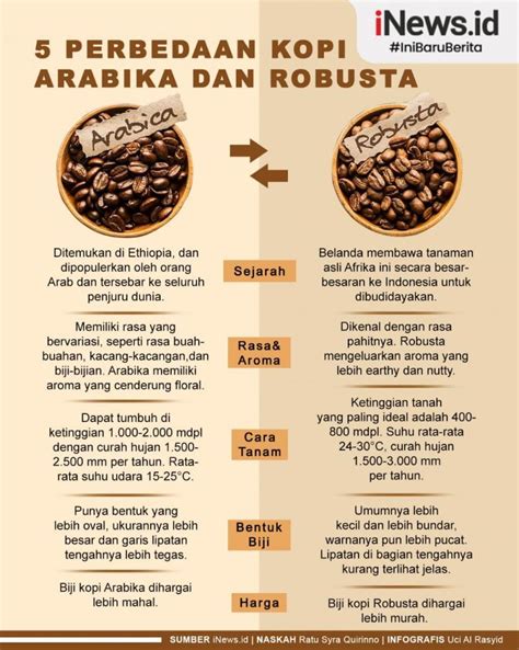 Kenali Perbedaan Kopi Arabika Dengan Kopi Robusta Resep Kopi Hitam | The Best Porn Website