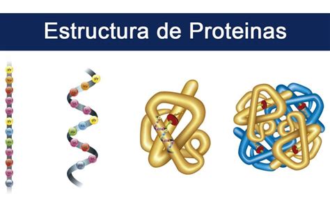 Un estudio revela limitaciones en el método de determinación de la ...