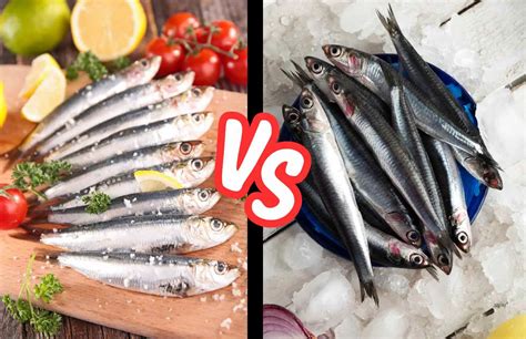 Sardines vs. Anchovies, Which Tastes Better? - Flame Surfers