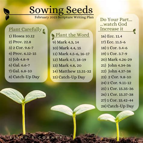 Sowing Seeds: February 2023 Scripture Writing Plan – Elihu's Corner
