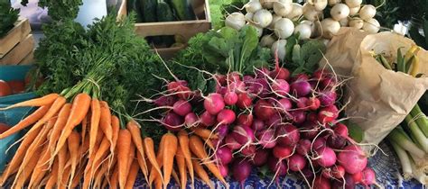 Visit a Farmers Market - Michigan Farm Fun