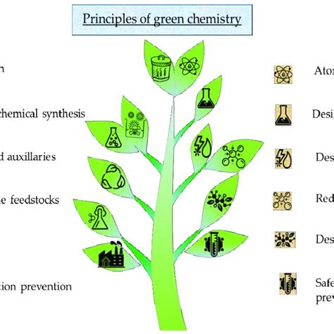 The twelve principles of green chemistry. | Download Scientific Diagram