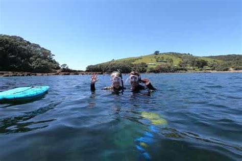 Goat Island Marine Reserve, Auckland - Book Tickets & Tours