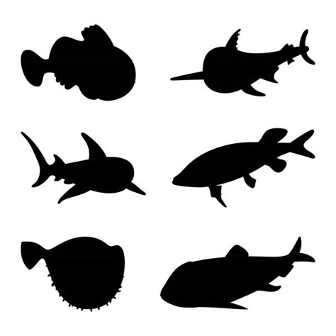 Halibut Silhouette Stock Photos, Pictures & Royalty-Free Images - iStock