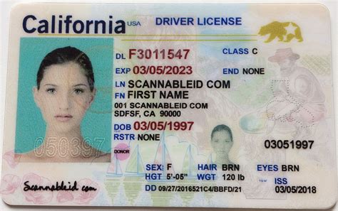 Funny fake drivers license template - honbucket