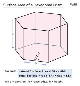 Surface Area of a Hexagonal Prism - Formulas & Examples