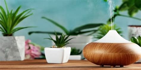 The 15 Best Large Room Essential Oil Diffusers [2024 Updated]