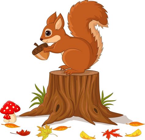 Squirrel Vector Art, Icons, and Graphics for Free Download