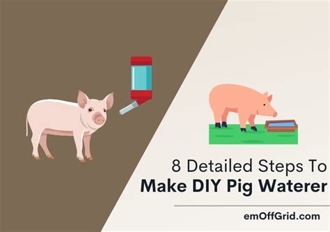 8 Steps to Make a Pig Waterer